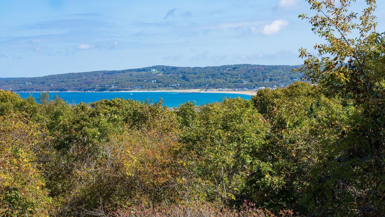 Photo of Others in Aquinnah
