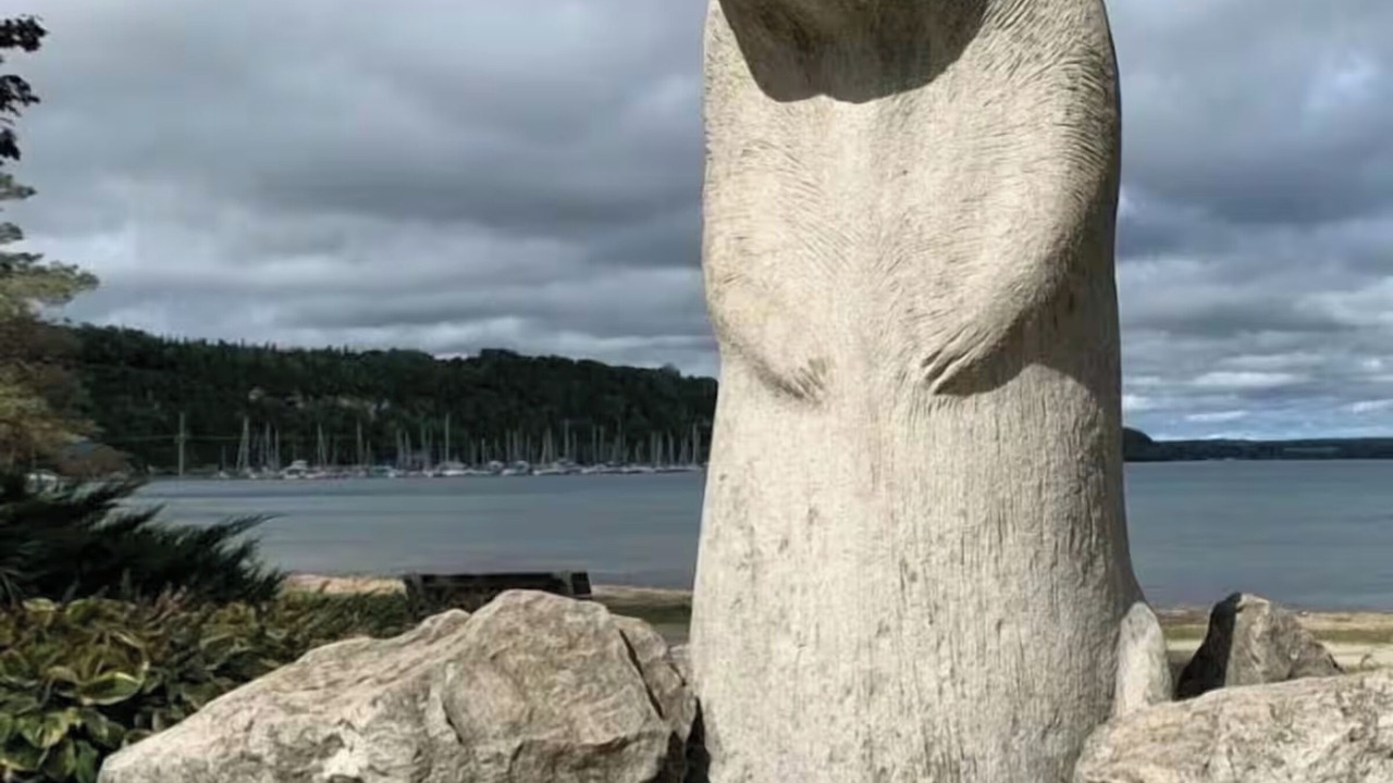 Photo of Others in Colpoys Bay