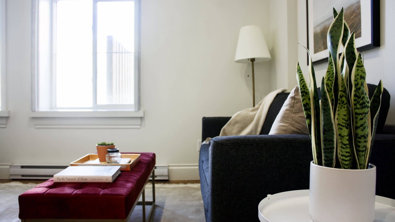 Photo of Livingroom in Brandon