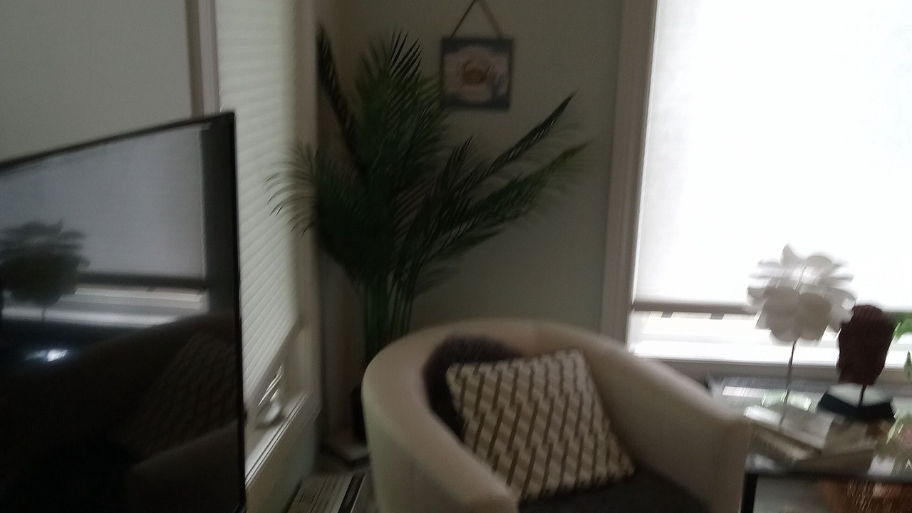 Photo of Livingroom in Frontenac