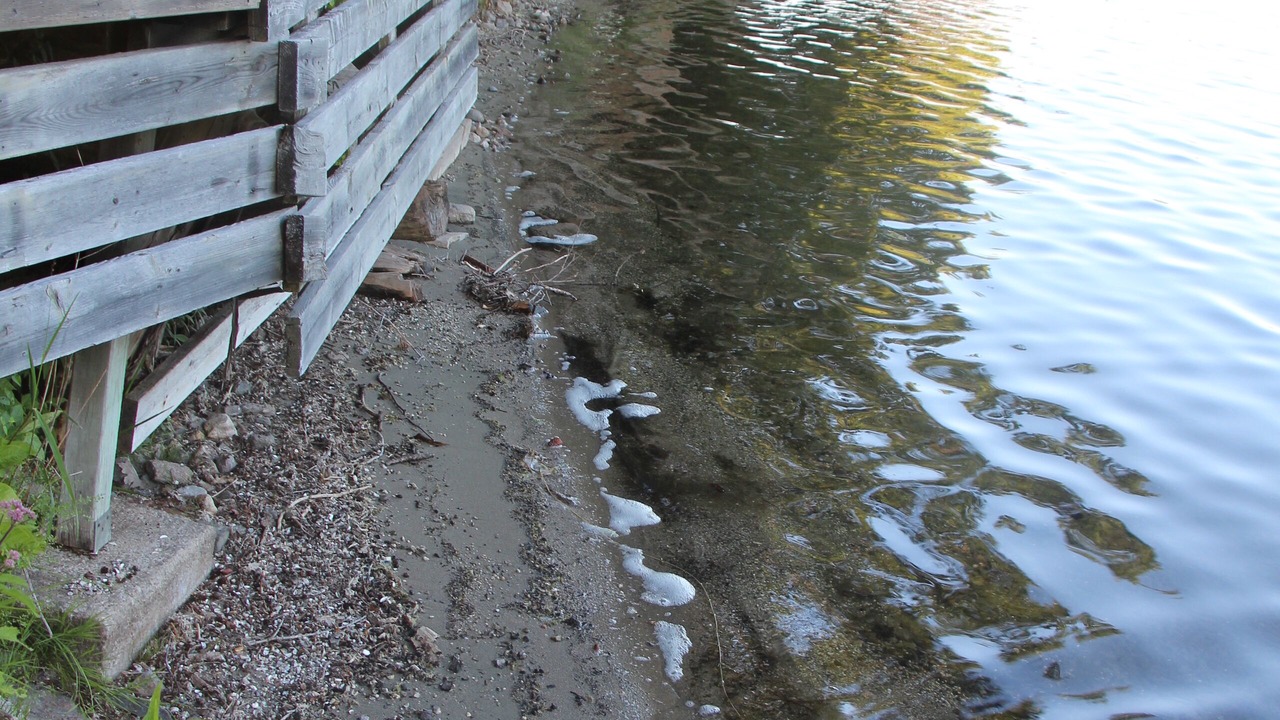 Photo of Others in Frontenac