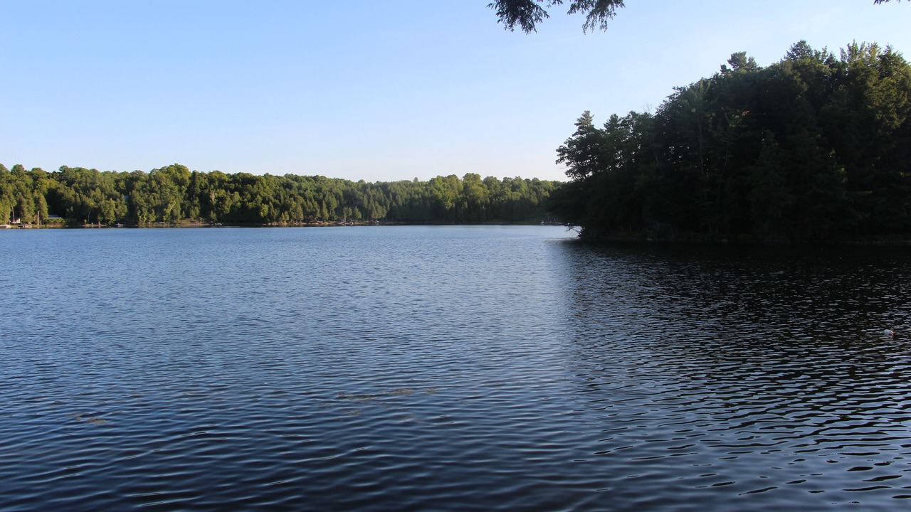 Photo of Others in Frontenac