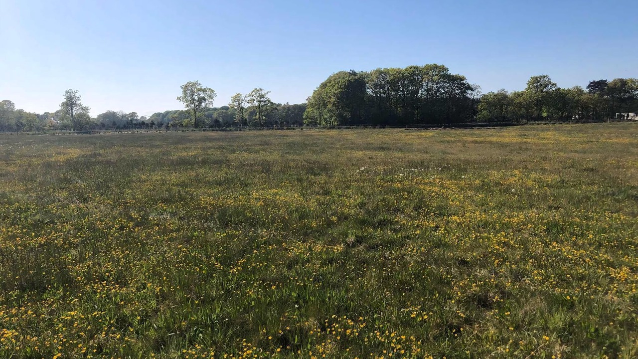 Photo of Others in Haslevgarde