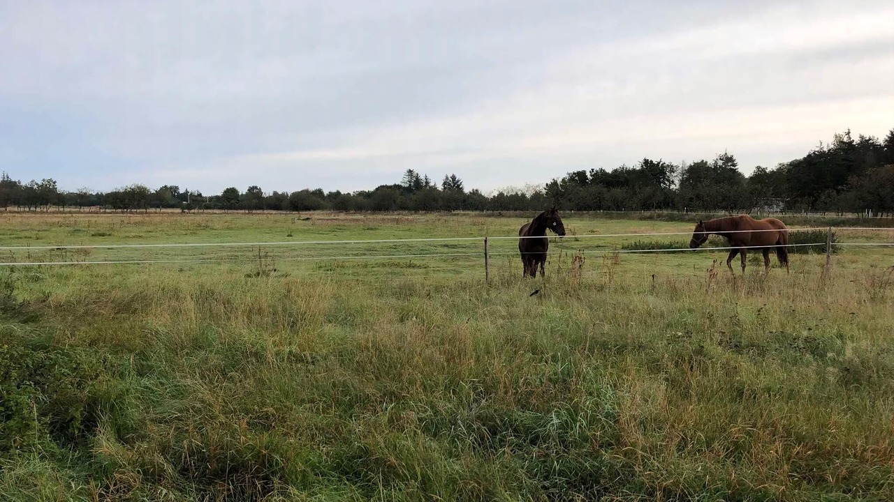 Photo of Others in Haslevgarde