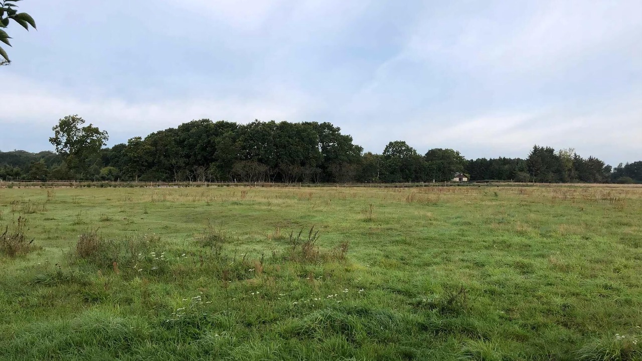 Photo of Others in Haslevgarde