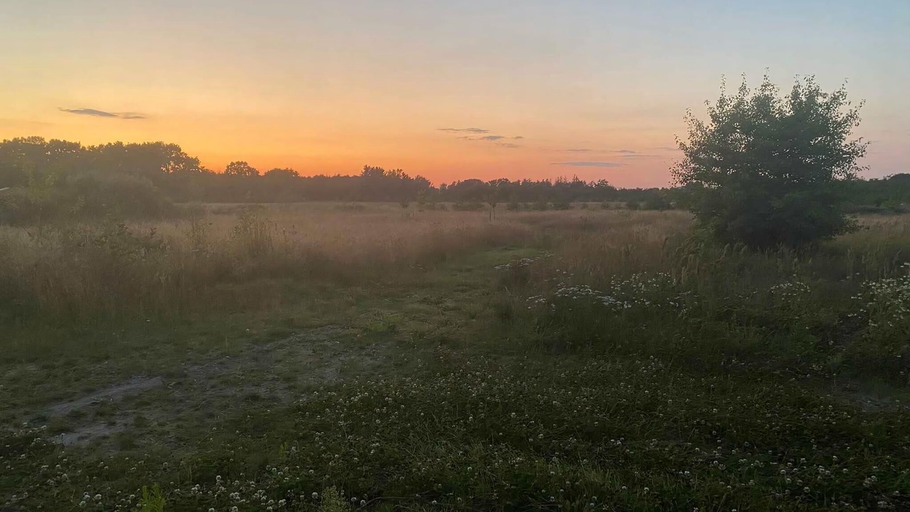 Photo of Others in Haslevgarde