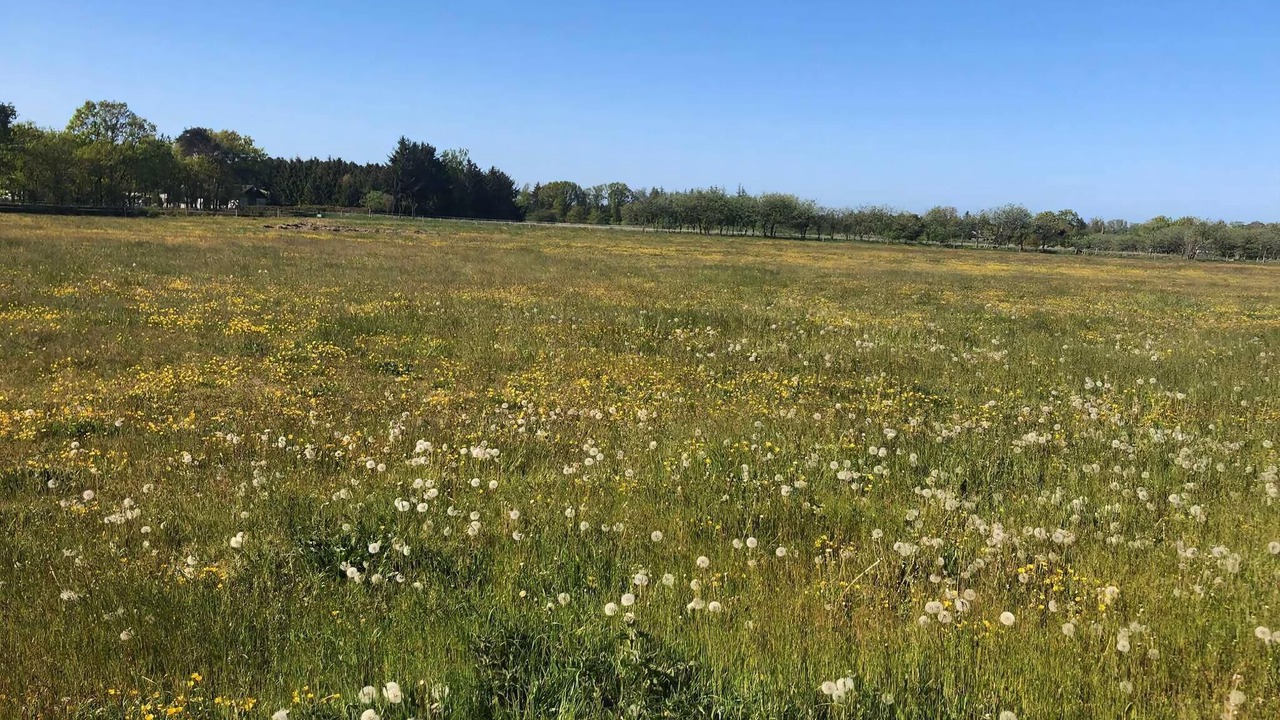 Photo of Others in Haslevgarde