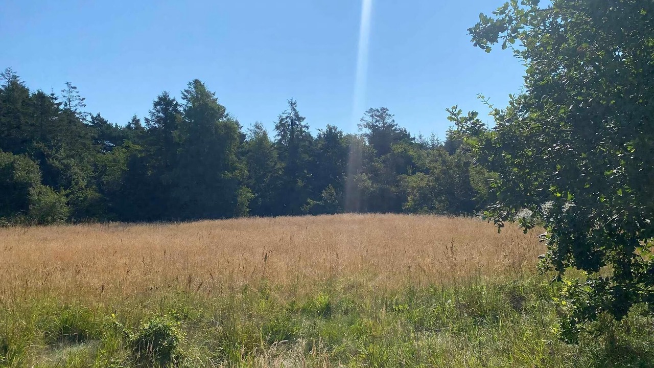 Photo of Others in Haslevgarde