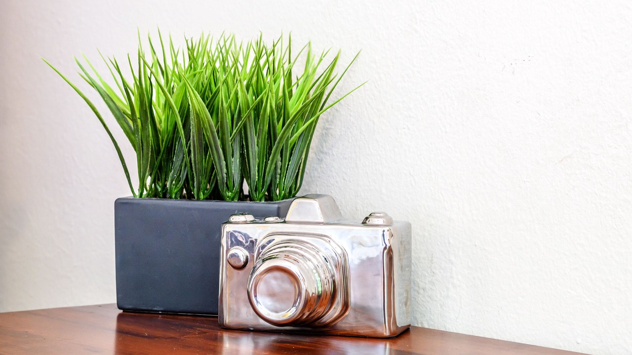 Photo of Others in Lower Bal