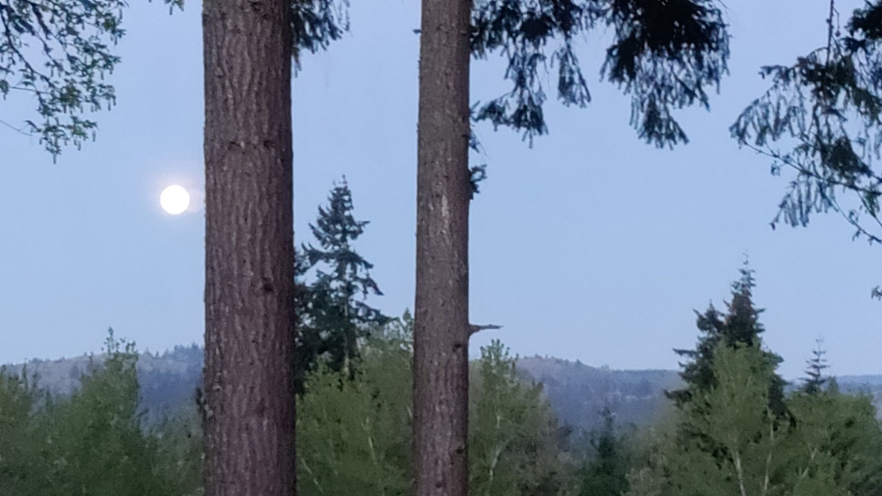 Photo of Others in Carrolls