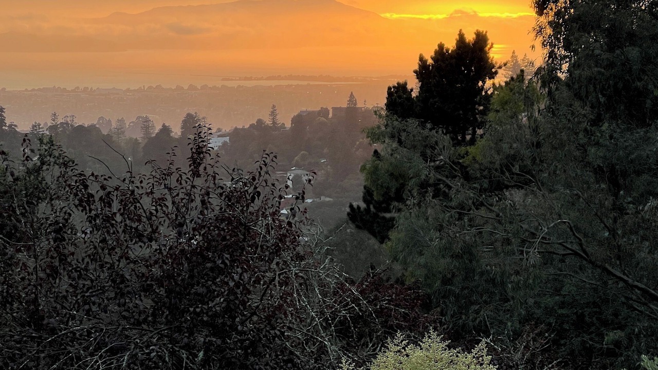 Photo of Others in Montclair