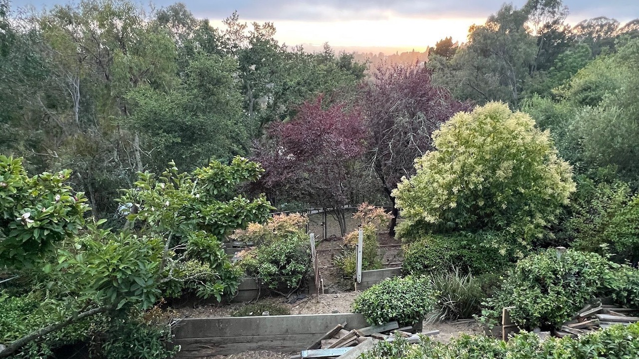 Photo of Others in Montclair