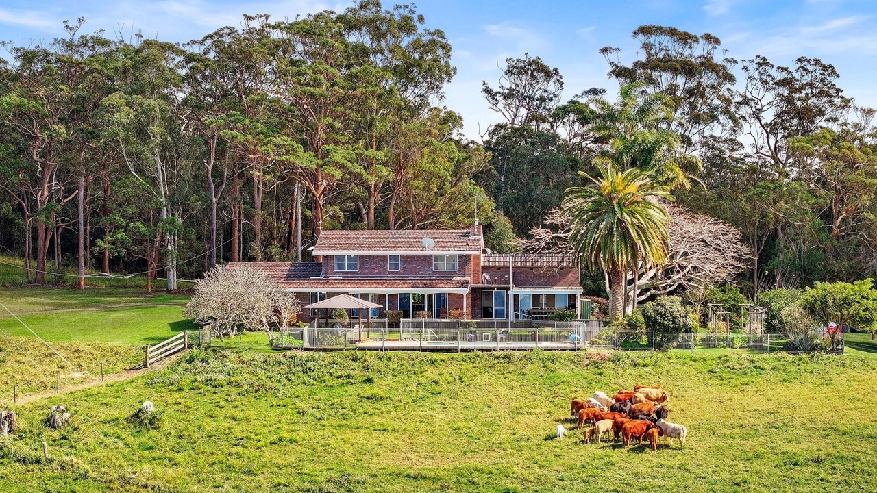 Photo of Others in North Haven