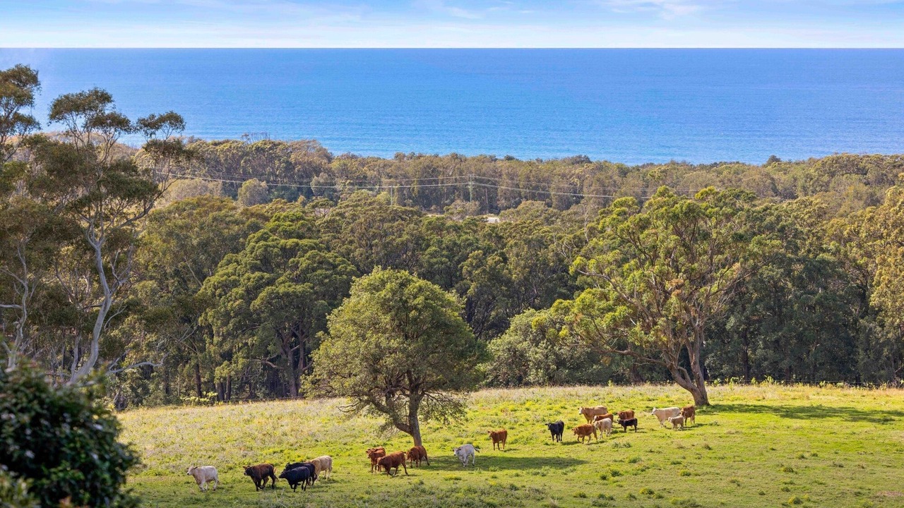 Photo of Others in North Haven