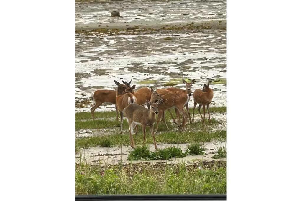 Photo of Others in Beals