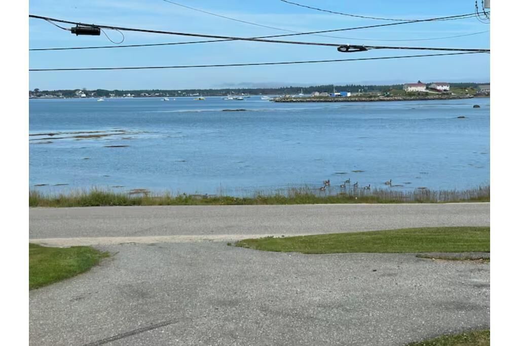 Photo of Others in Beals