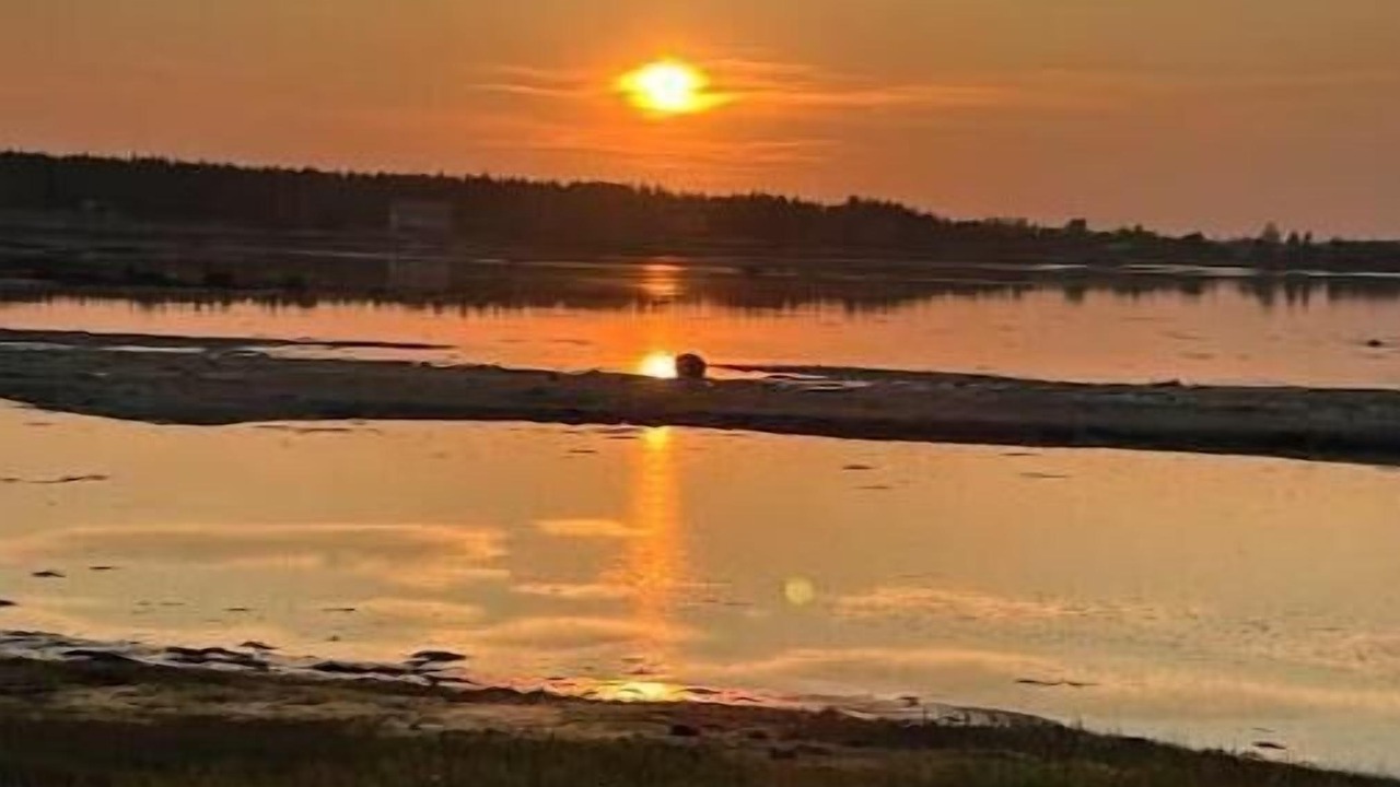 Photo of Others in Beals