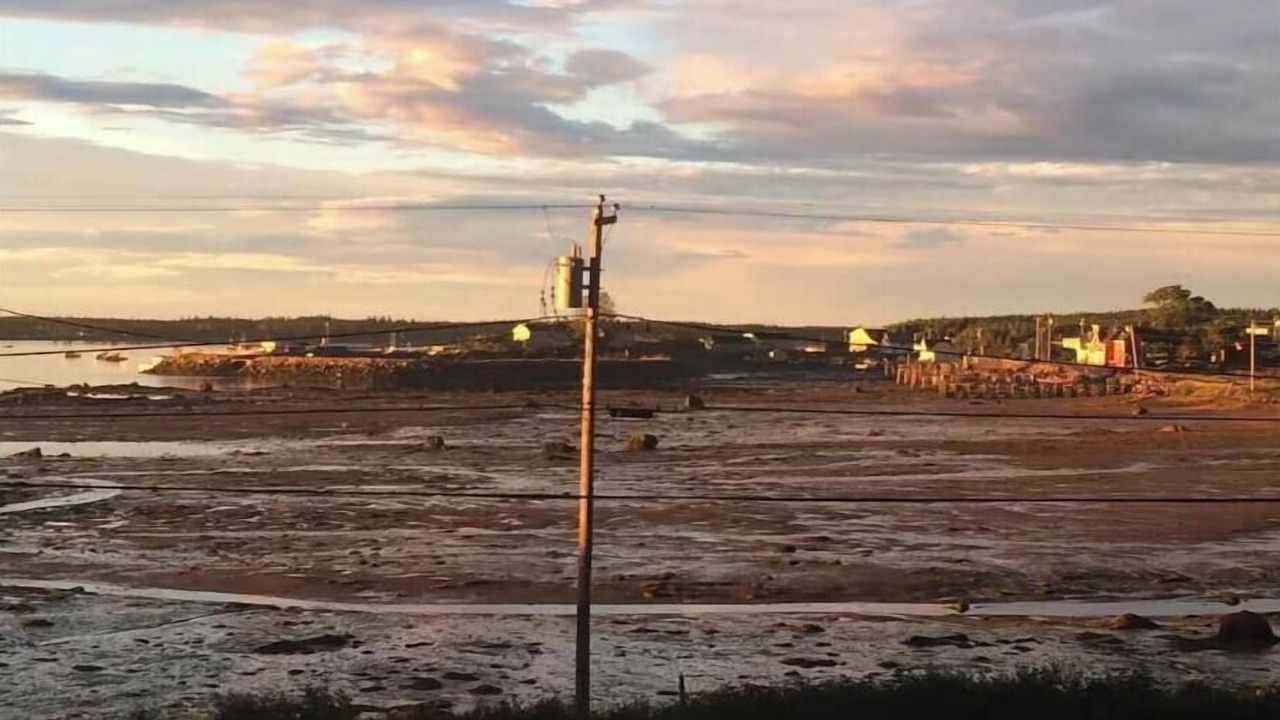 Photo of Others in Beals