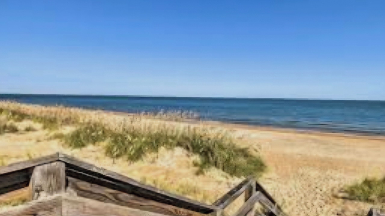 Photo of Others in Norfolk