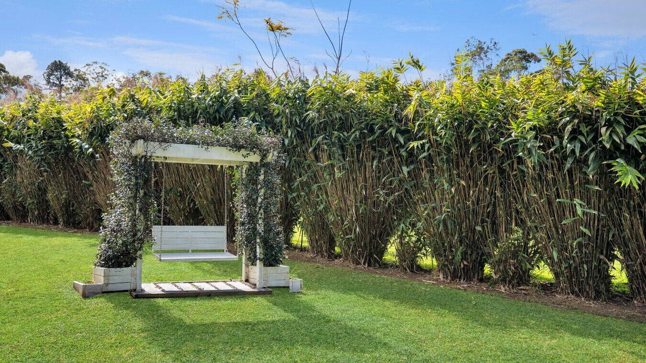 Photo of Outdoor in Peachester