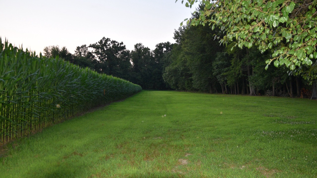 Photo of Outdoor in Lexington