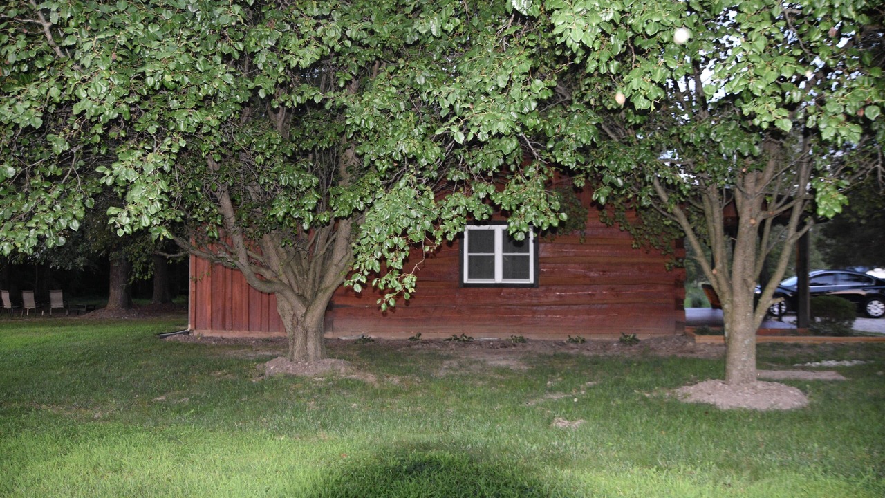 Photo of Outdoor in Lexington