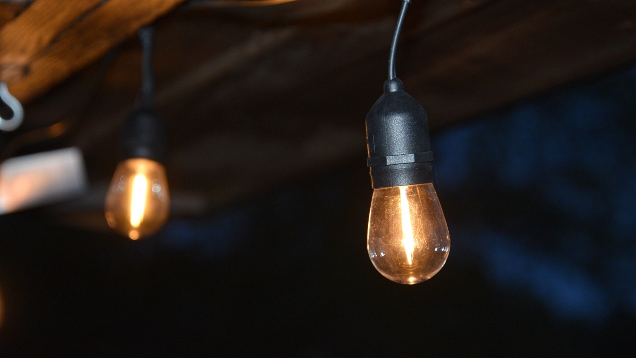 Photo of Others in Lexington