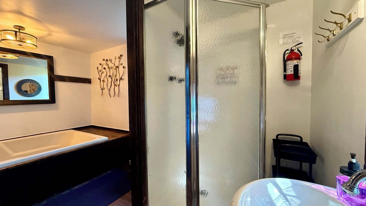 Photo of Bathroom in Eureka Springs Historic District
