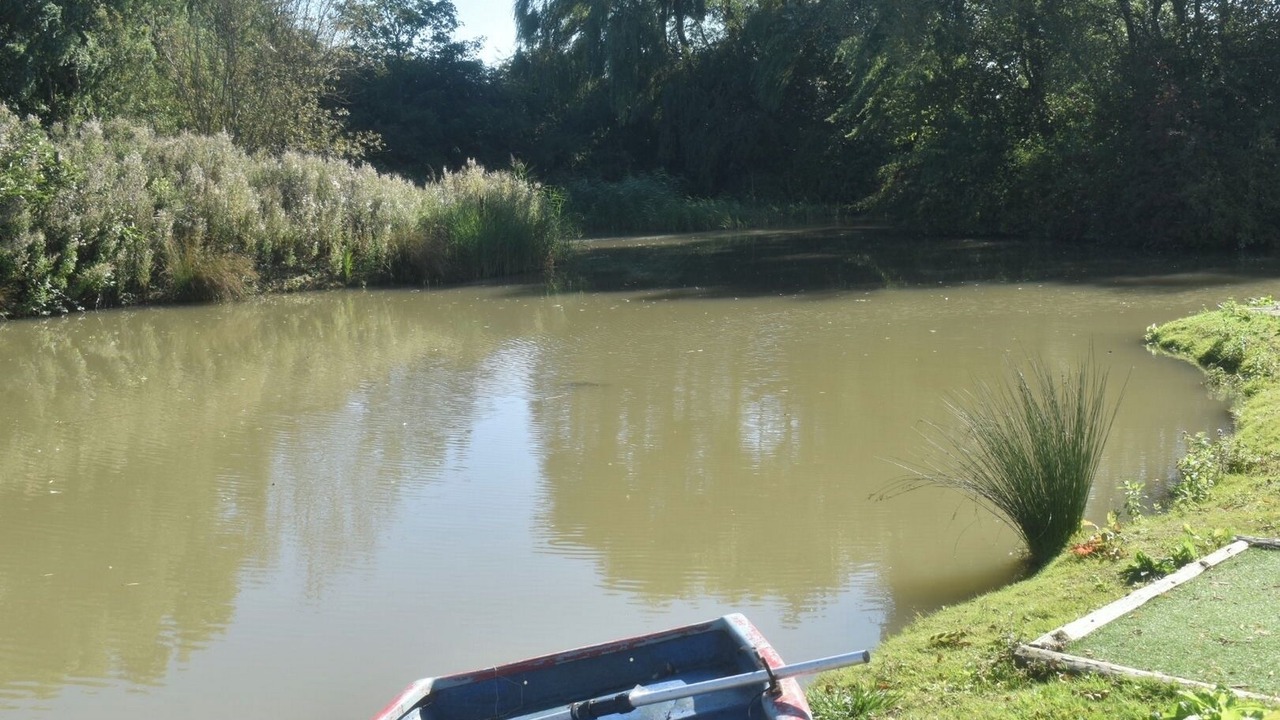 Photo of Others in Louth