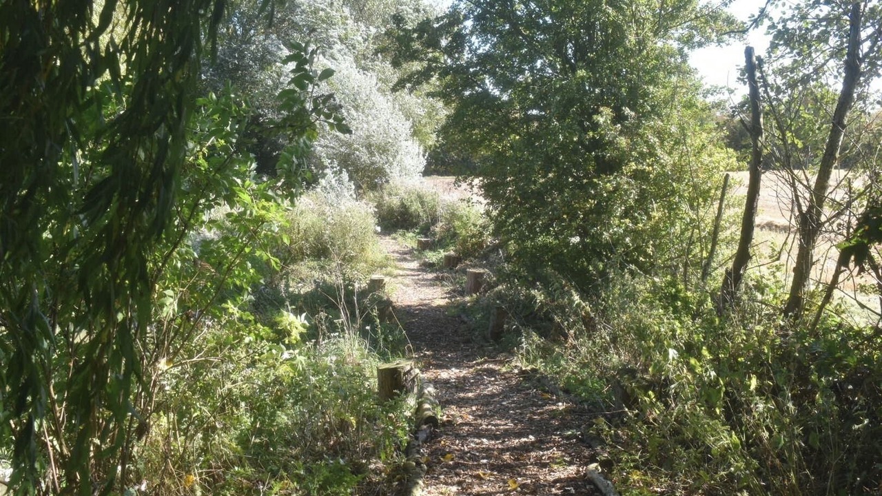 Photo of Others in Louth