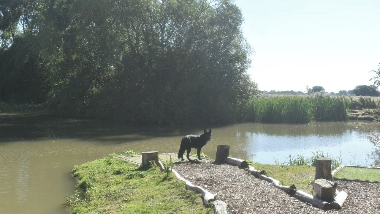 Photo of Others in Louth