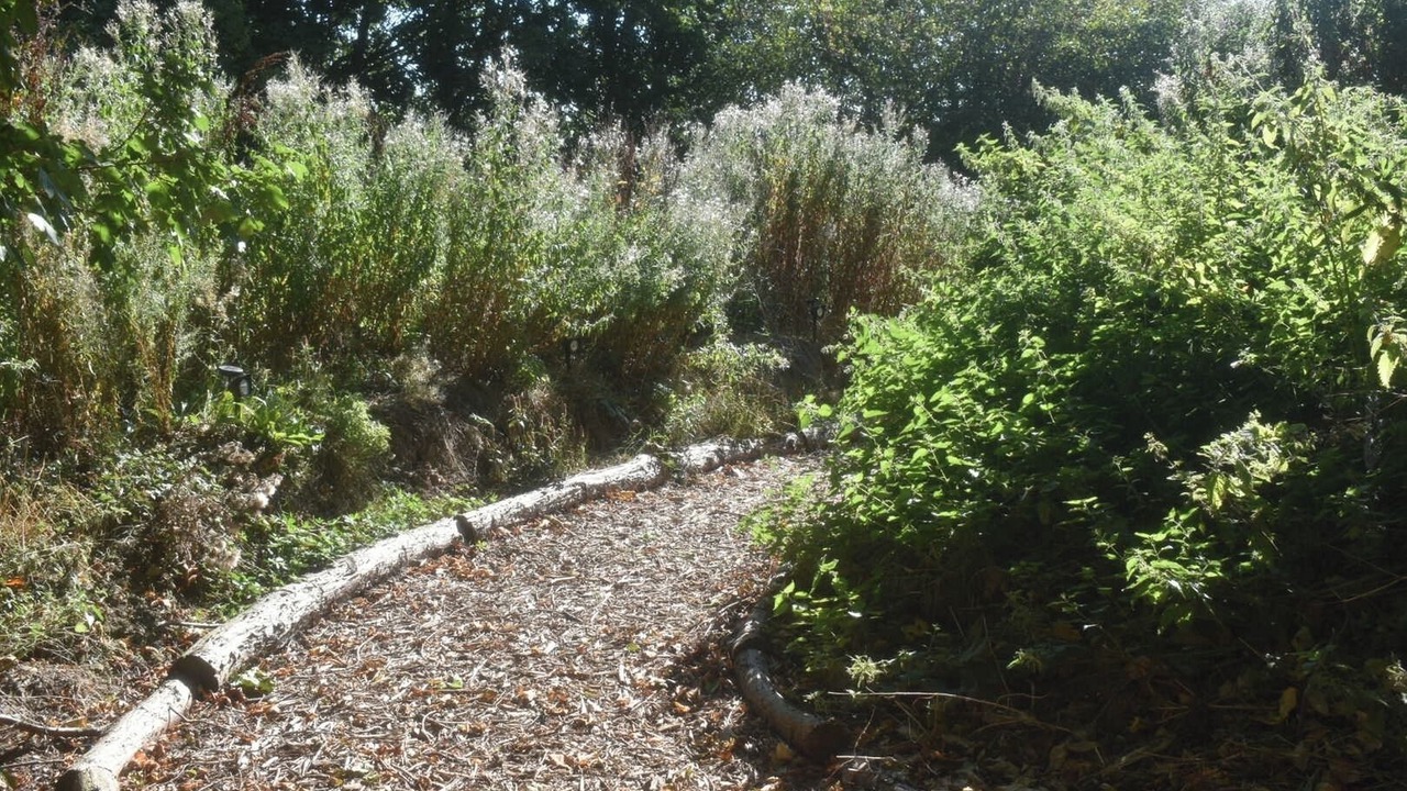 Photo of Outdoor in Louth