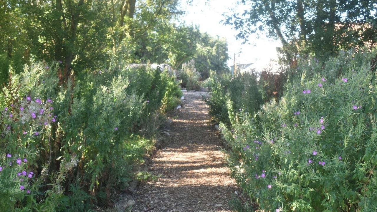 Photo of Outdoor in Louth