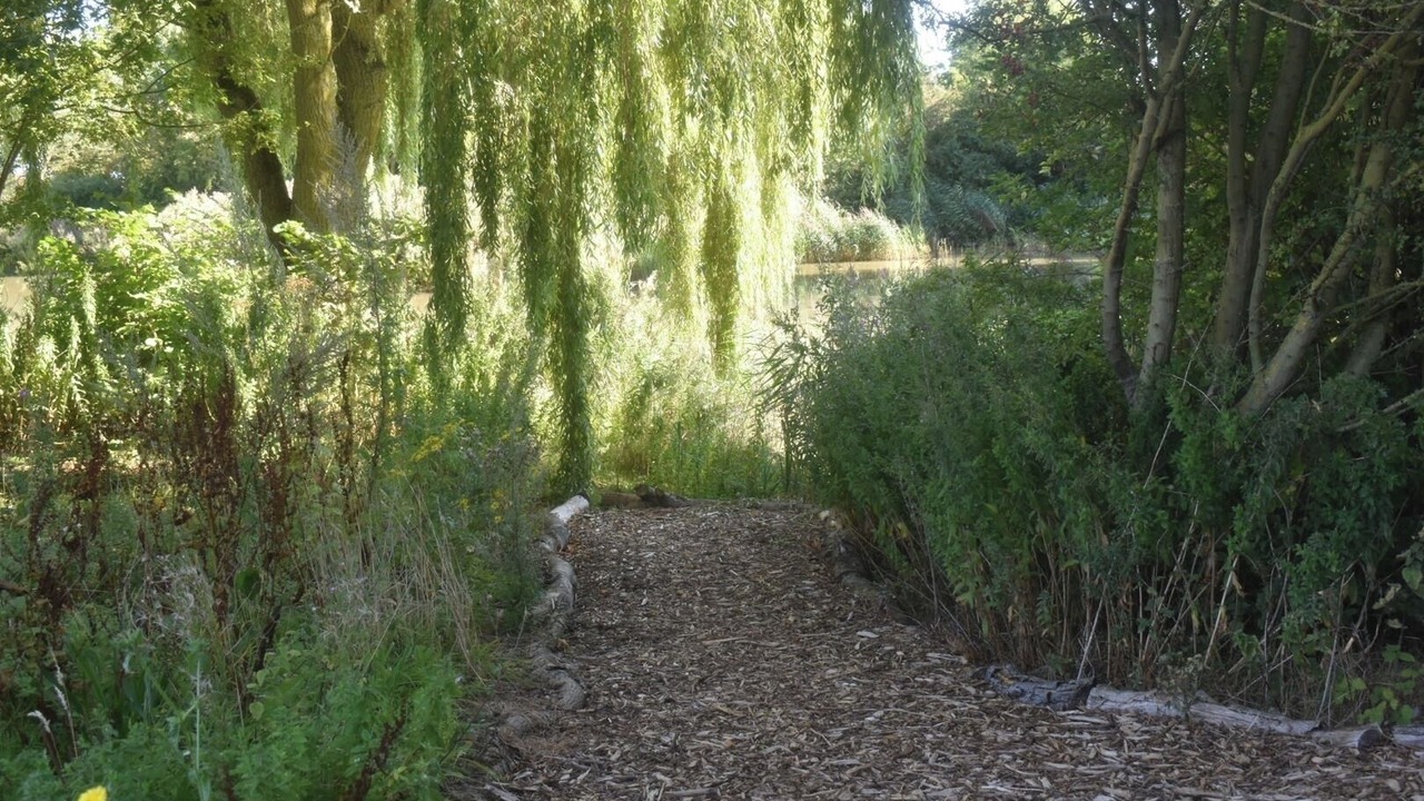 Photo of Outdoor in Louth