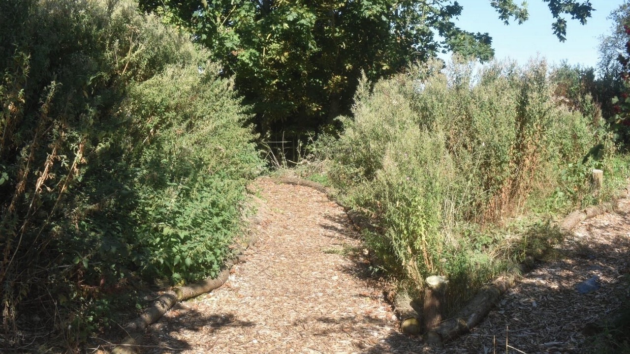 Photo of Outdoor in Louth