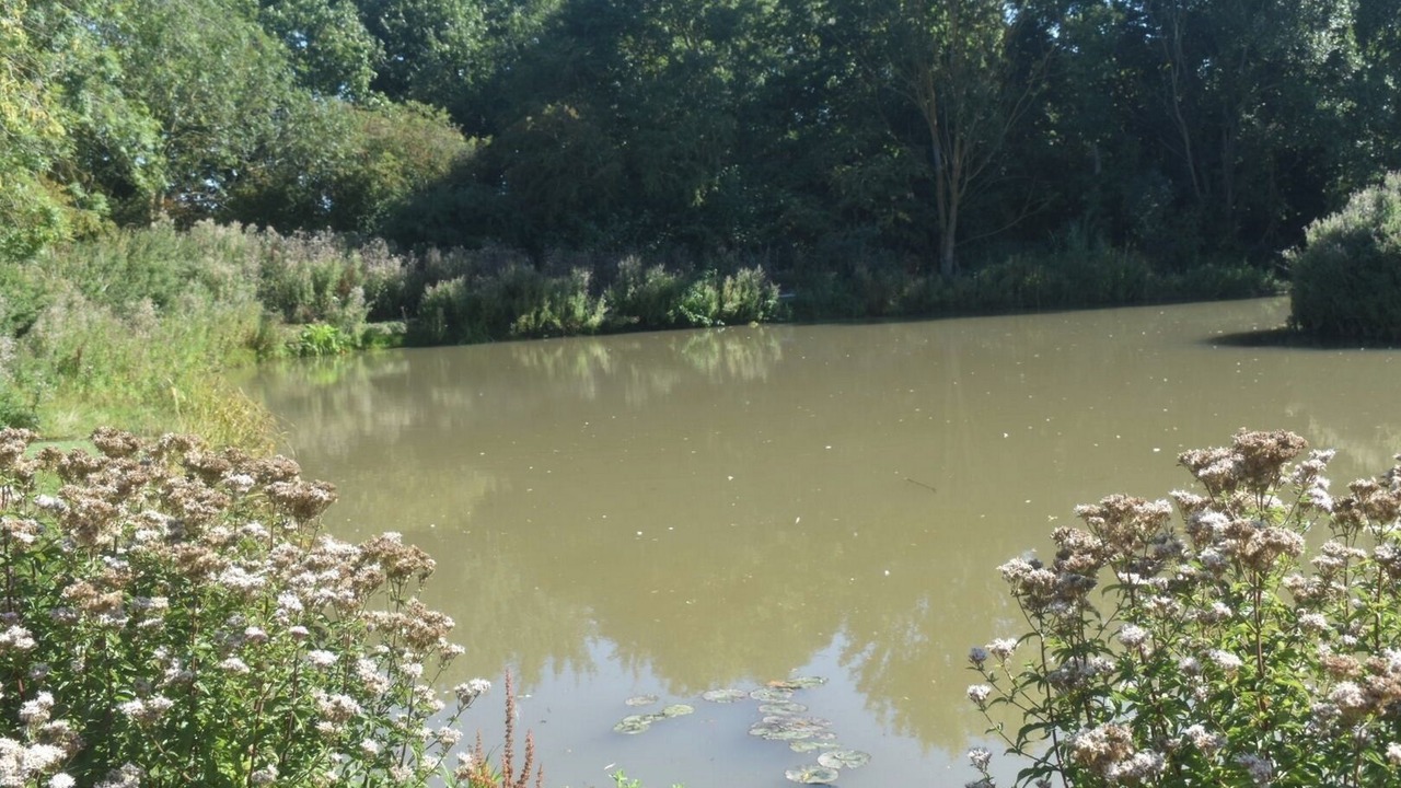 Photo of Others in Louth