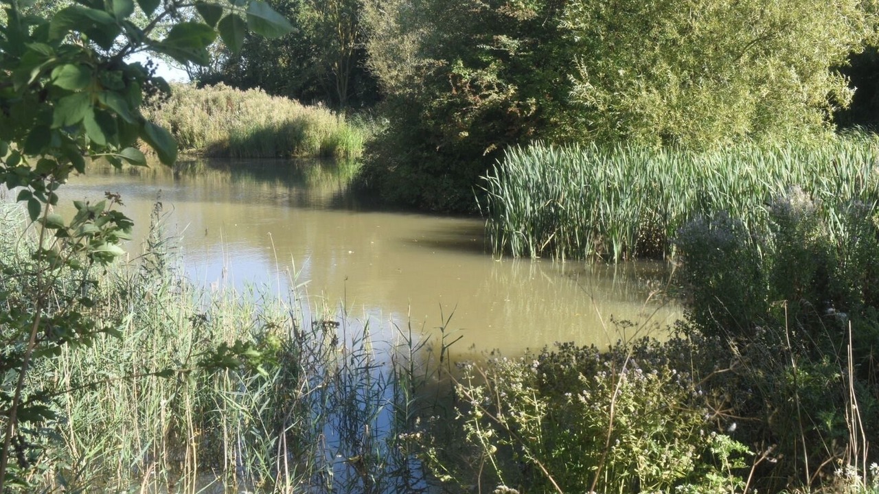 Photo of Others in Louth