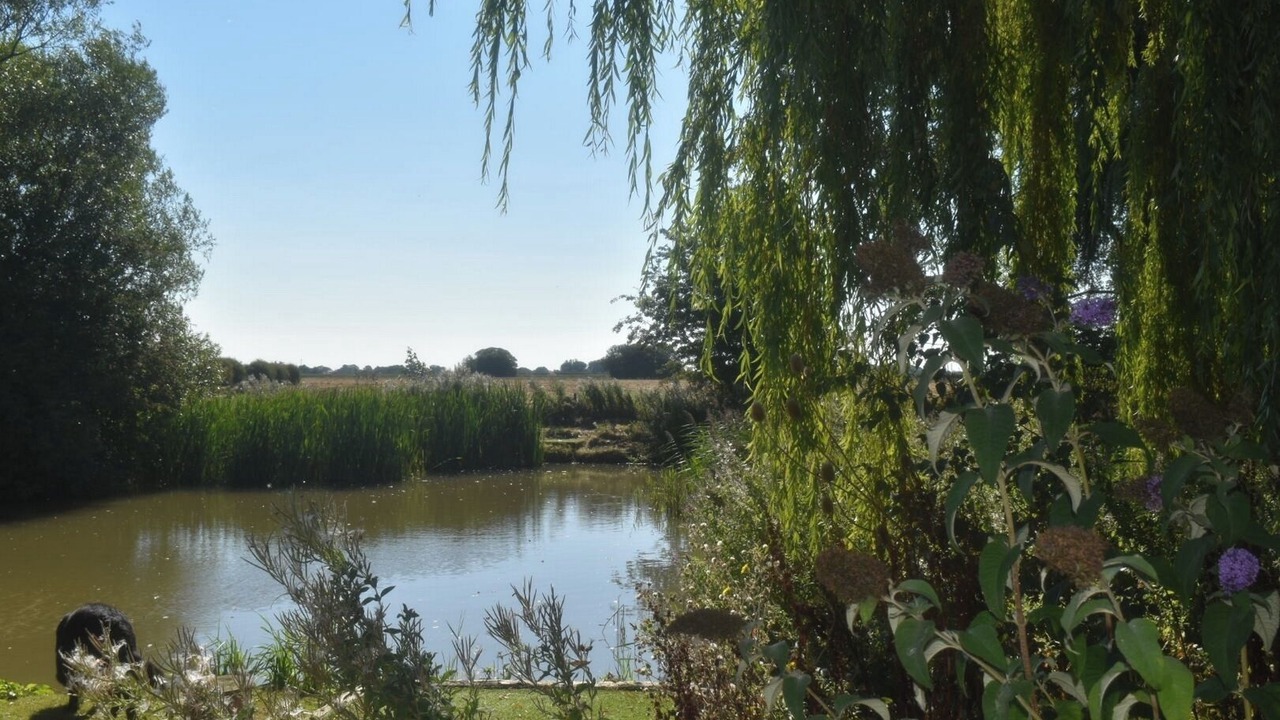 Photo of Outdoor in Louth