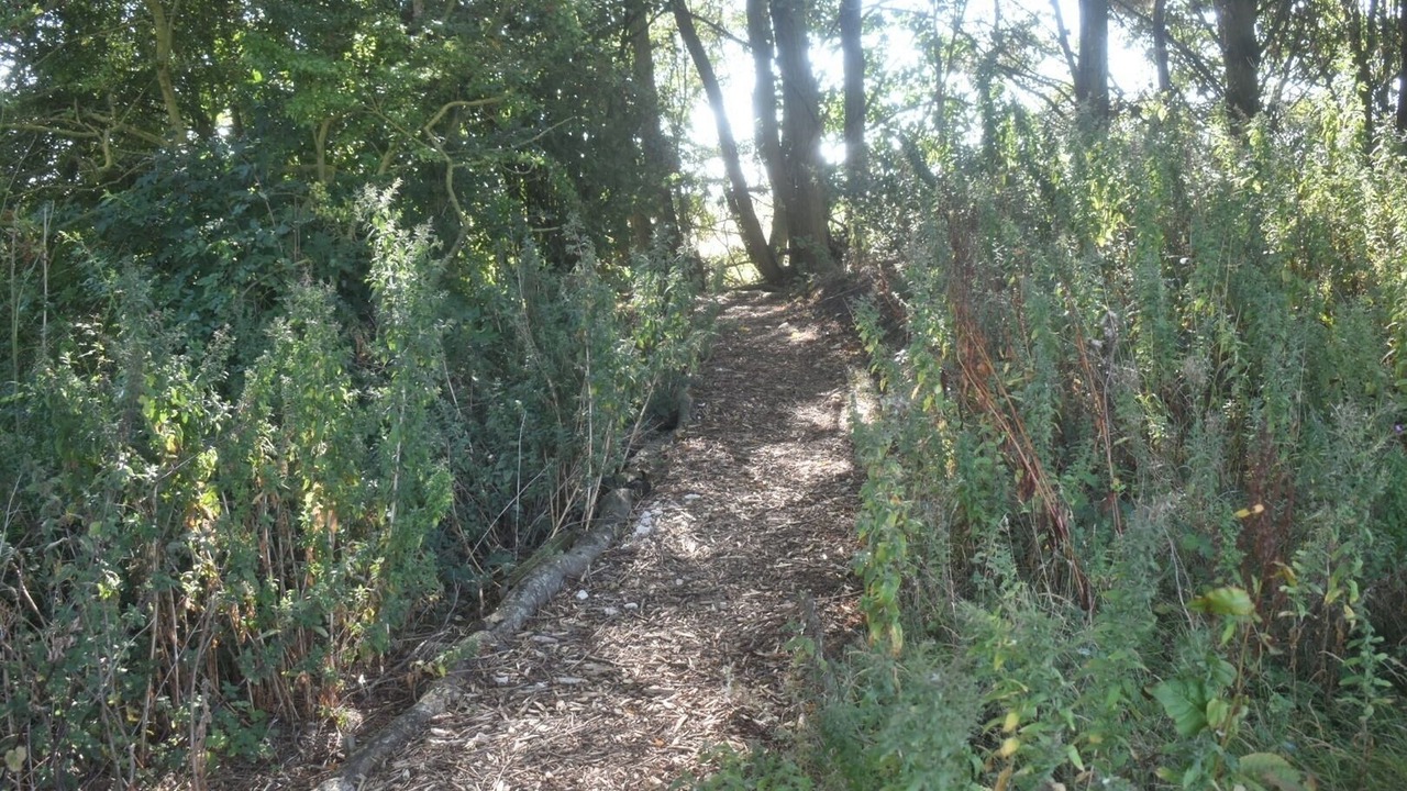 Photo of Others in Louth