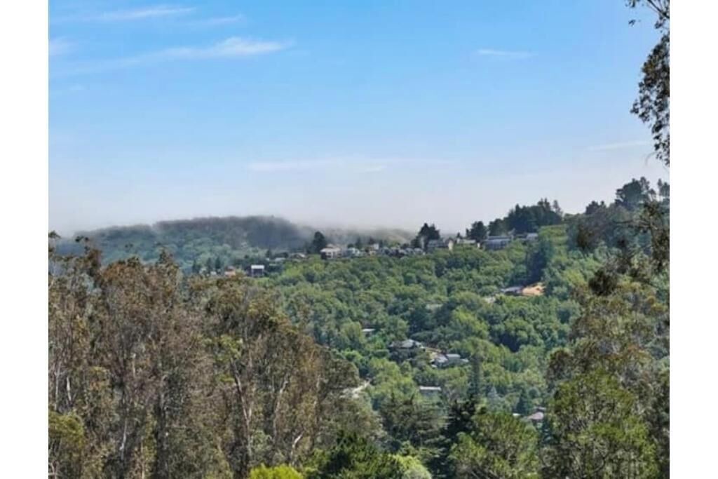 Photo of Others in Tamalpais-Homestead Valley