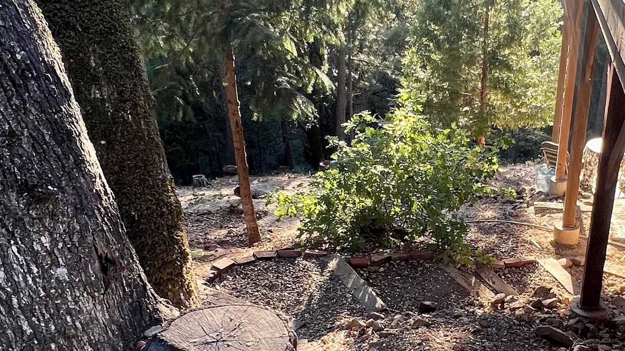 Photo of Outdoor in Cedar Ridge