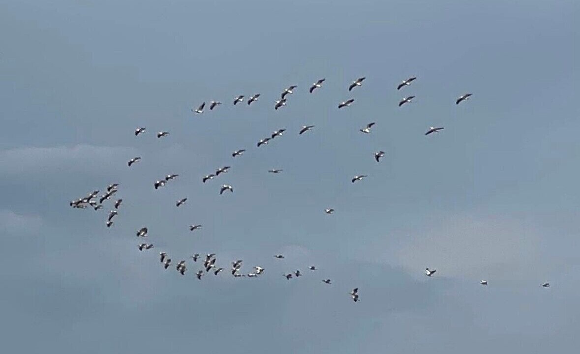 Photo of Others in Afton