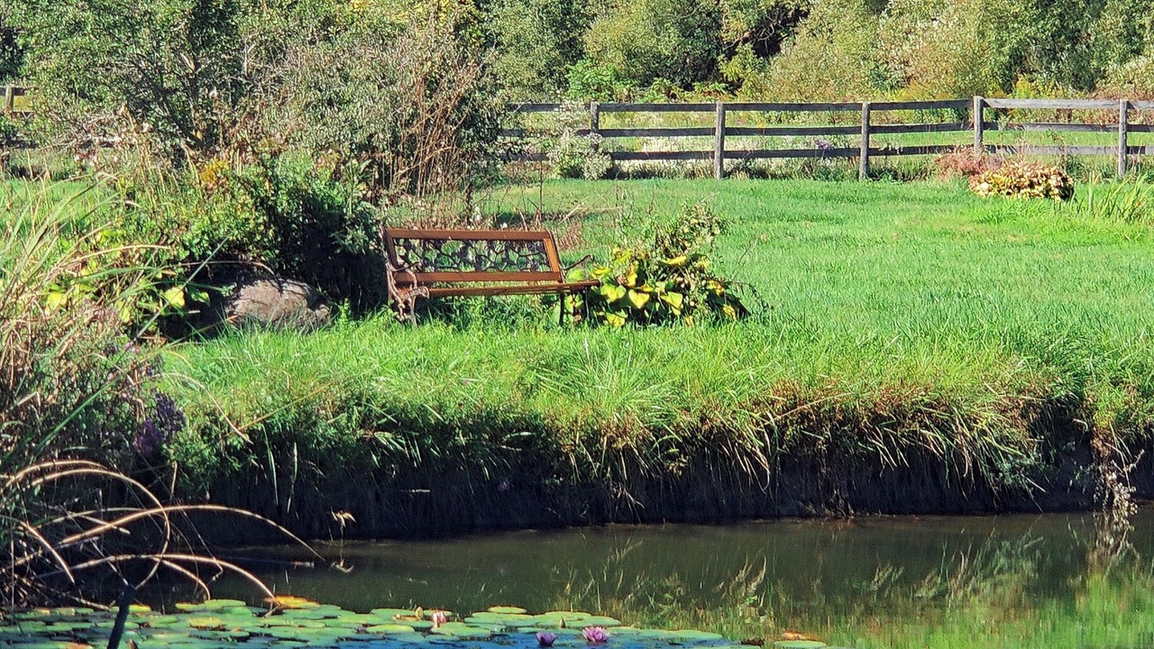 Photo of Outdoor in Sharon