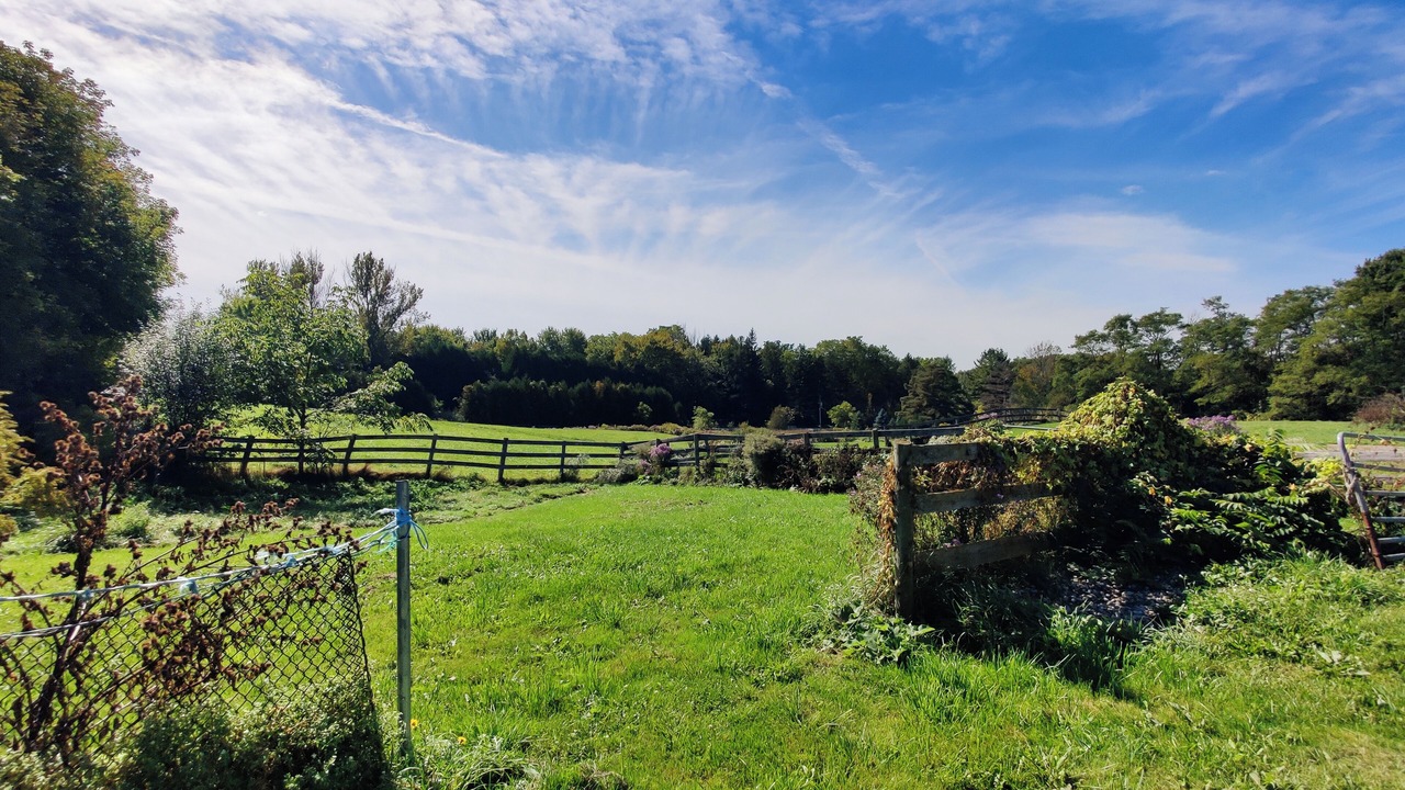 Photo of Outdoor in Sharon