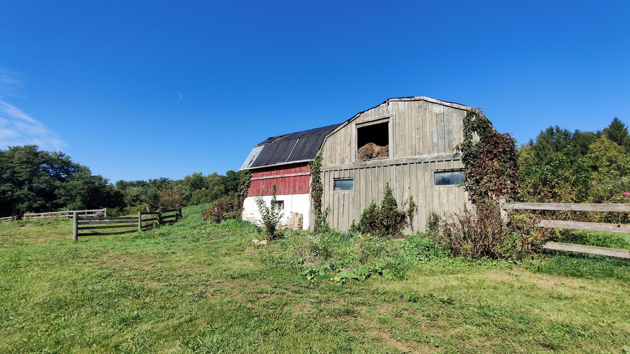 Photo of Outdoor in Sharon