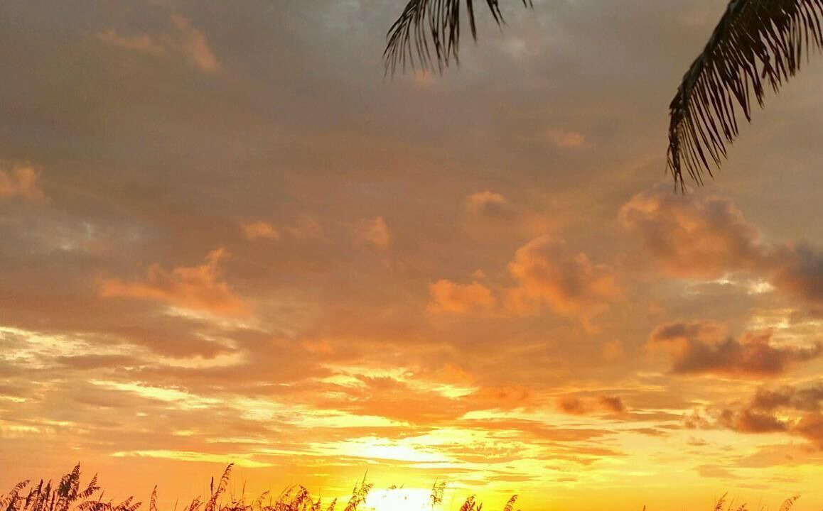 Photo of Others in Boca Grande