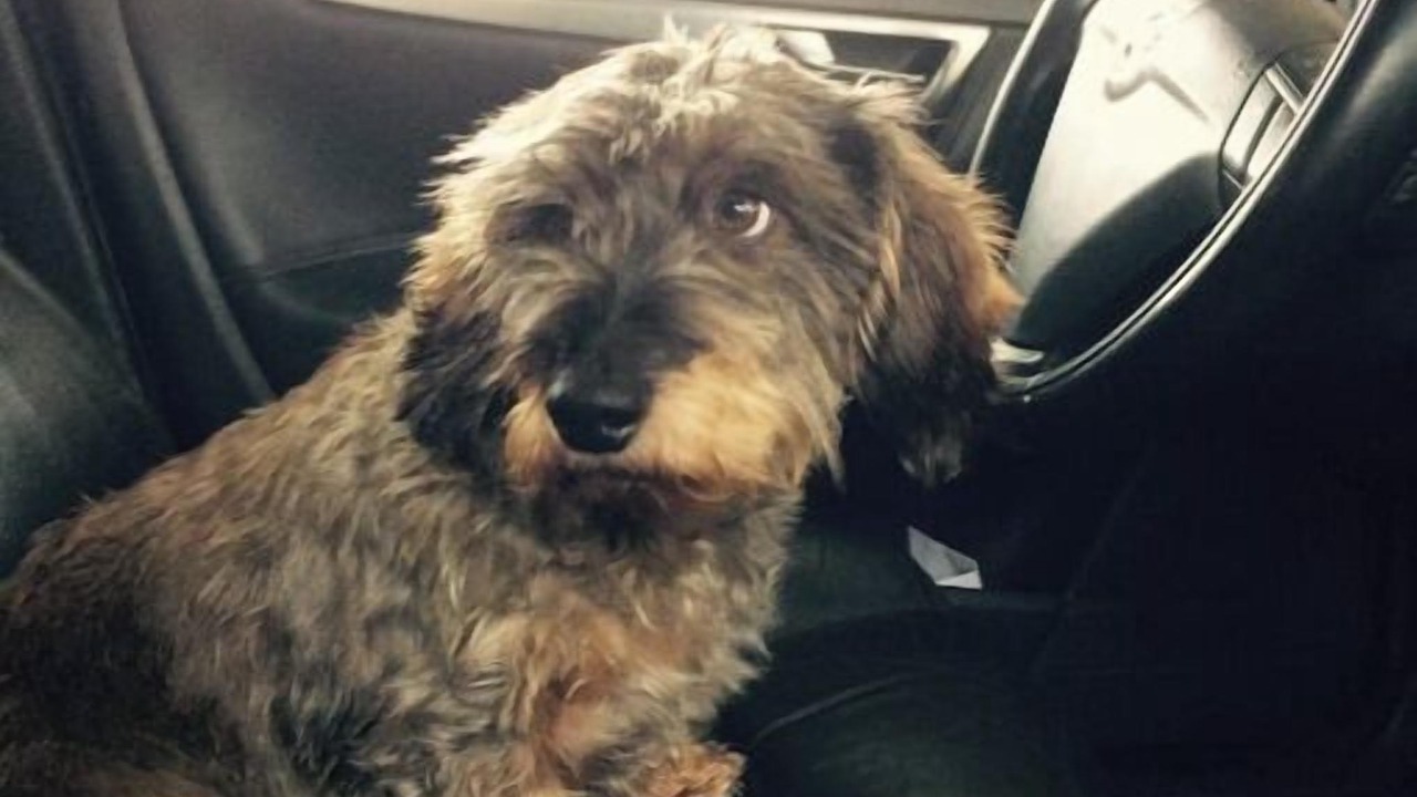 Photo of Others in Saint-Pierre-des-Nids