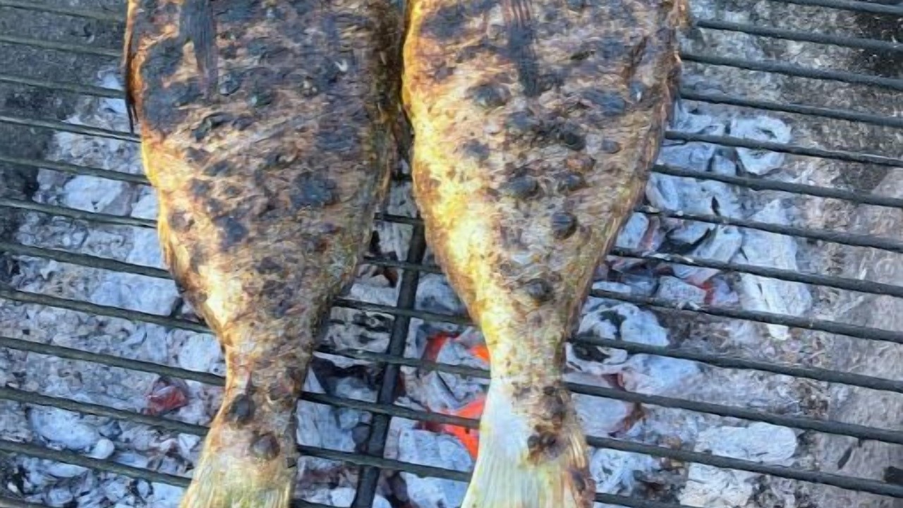 Photo of Others in Saint-Pierre-des-Nids