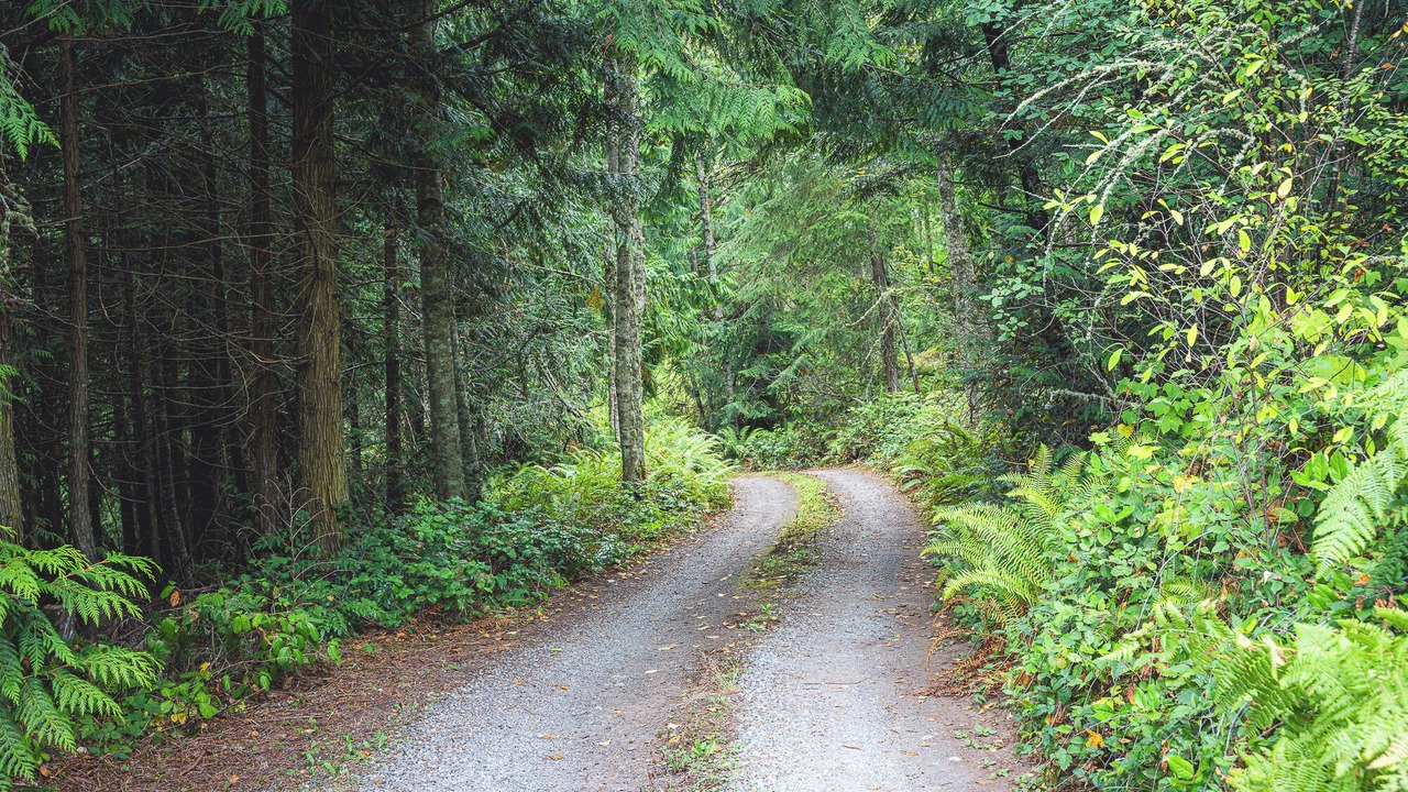 Photo of Others in Adelma Beach