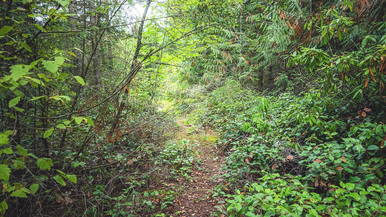 Photo of Others in Adelma Beach